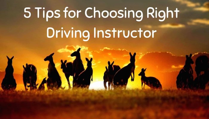 Read more about the article 5 Tips for Choosing Right Driving Instructor